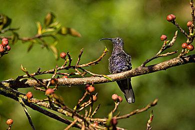 《战地6》开发者介绍更新路线图以及公测趣味数据